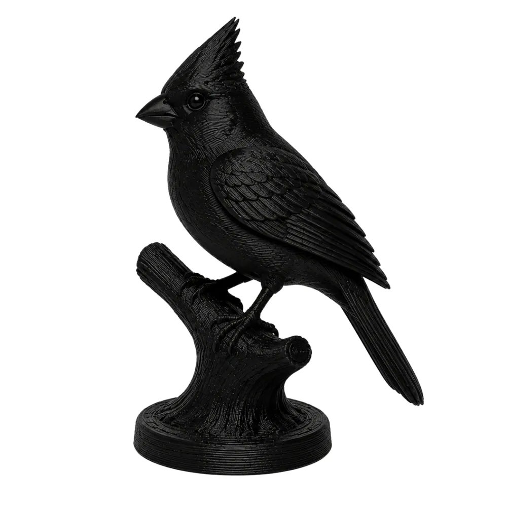 Filamento MasterPrint ABS Preto 1 kg para Impressora 3D 2